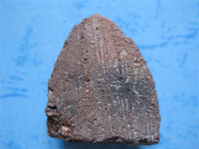 IMG_1691 (Small).JPG