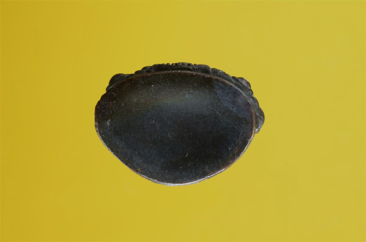 DSC_0172 (Custom).jpg