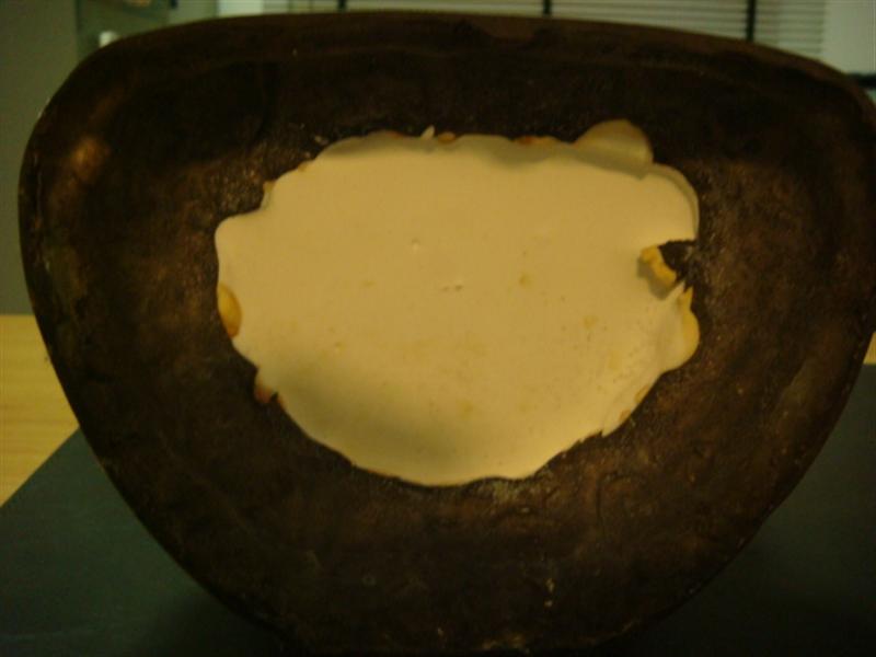 DSC00590 (Medium).JPG