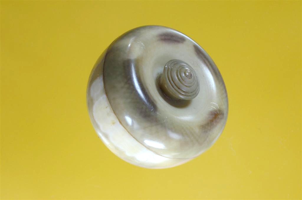 DSC_0543 (Large).jpg