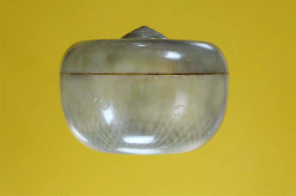 DSC_0545 (Large).jpg