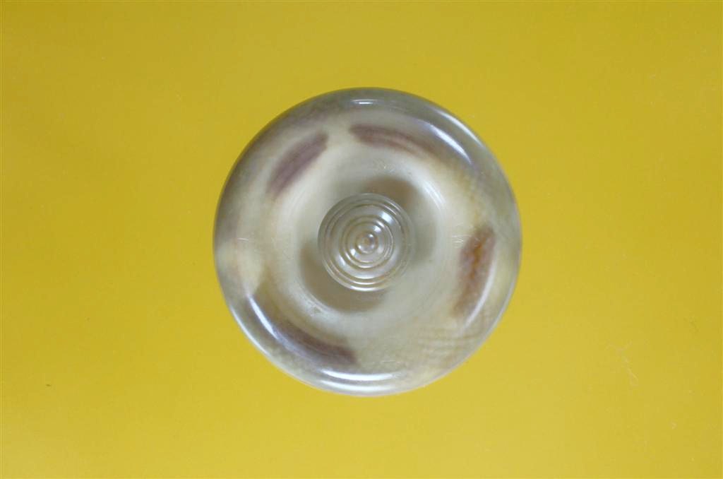 DSC_0542 (Large).jpg