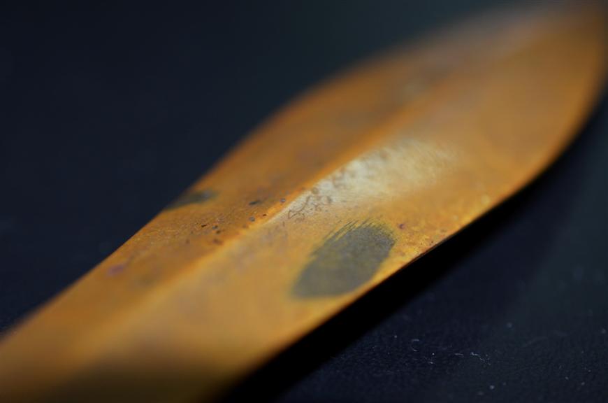 DSC_0125 (Custom).jpg